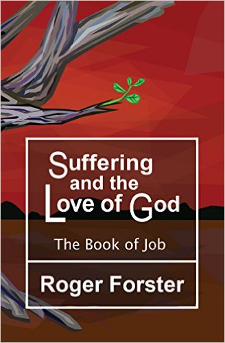 God's Strategy in Human History
